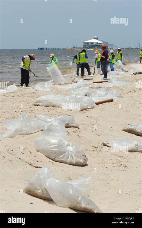 Bp Oil Spill Clean Up Efforts