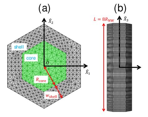 Geometry Of The Core Shell Nanowire Investigated With The Meshes