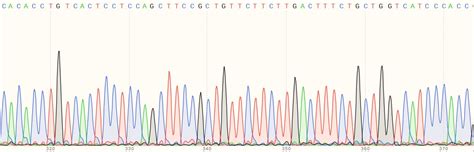 Pre Made Human PARP1 Knockout HEK 293T Cell Line Ab266598 Abcam