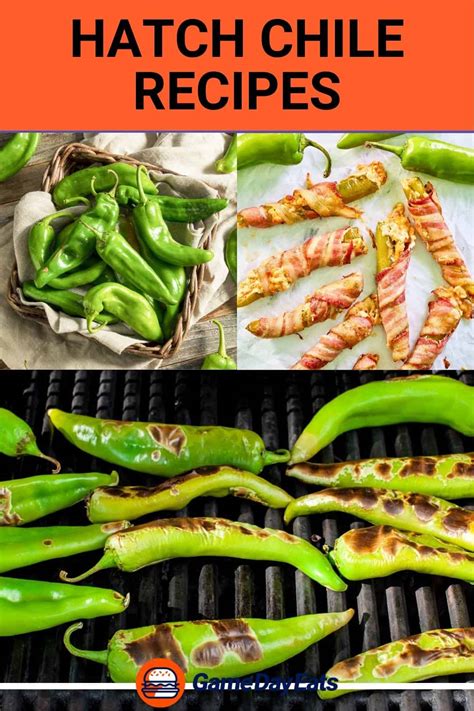 Hatch Chile Recipes