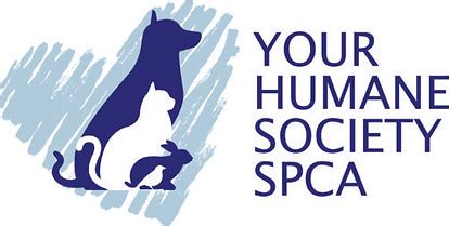 Your Humane Society Spca Photos