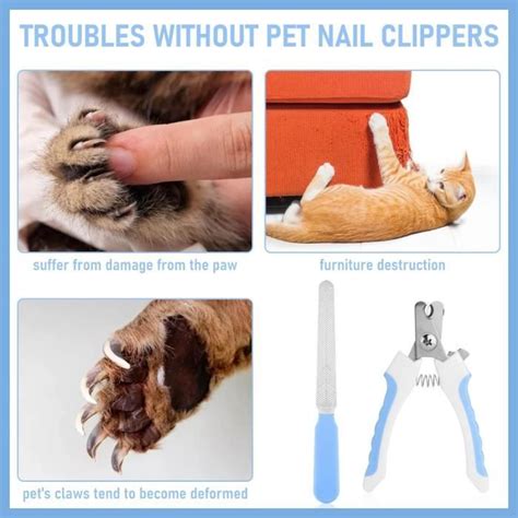 Coupe Ongles Professionnel Pour Animaux Domestiques Lime À Ongles Pour