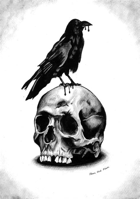 Raven on skull by JeanOldFirm on DeviantArt