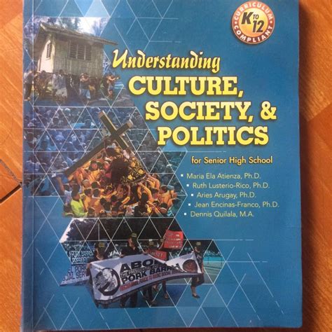 Understanding Culture Society And Politics Book Hobbies And Toys Books