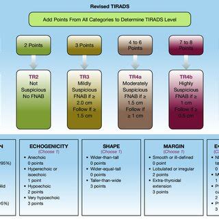 (PDF) Revised Thyroid Imaging Reporting and Data System (TIRADS): imitating the American College ...