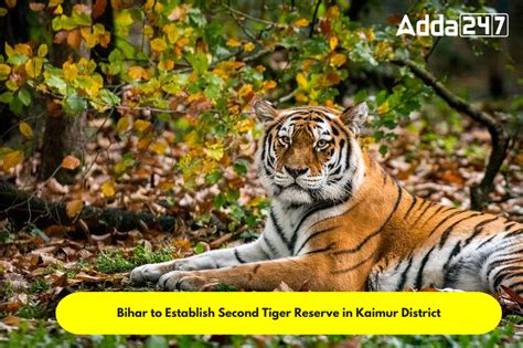 Bihar to Establish Second Tiger Reserve in Kaimur District