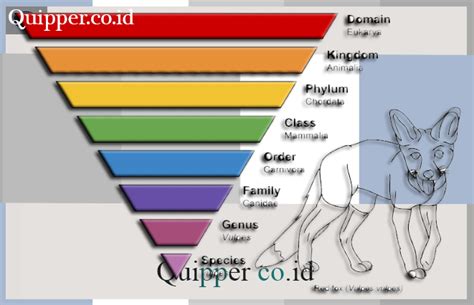 Klasifikasi Hewan Pengertian Tujuan Ciri Dan Contoh