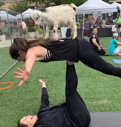 Special Events - Goat Yoga Houston | Baby Goat Yoga in Houston Metro Area