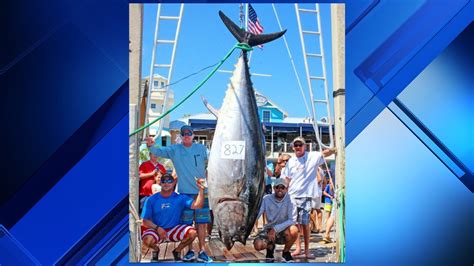 Record Breaking Bluefin Tuna Caught Off Of Destin