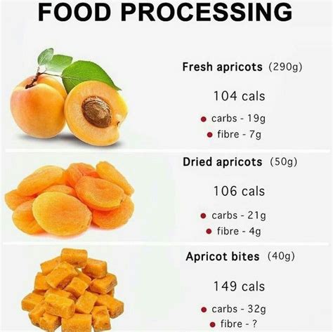 Dried Apricot Benefits Artofit