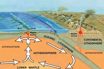 Tectonic Plates Facts for Kids