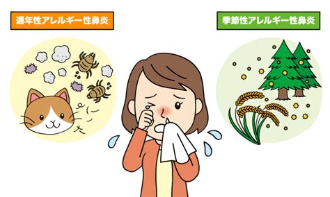 秋の花粉症はいつからいつまで？症状・原因と今すぐできる対策を紹介｜キレキラ！｜エリエール｜大王製紙