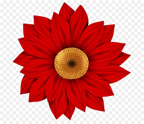 red flowers transparent   red flowers transparent png