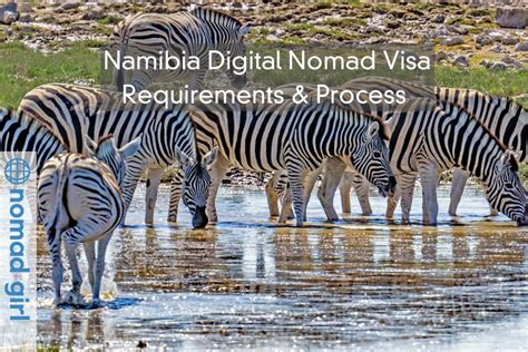 Namibia Digital Nomad Visa Requirements And Process