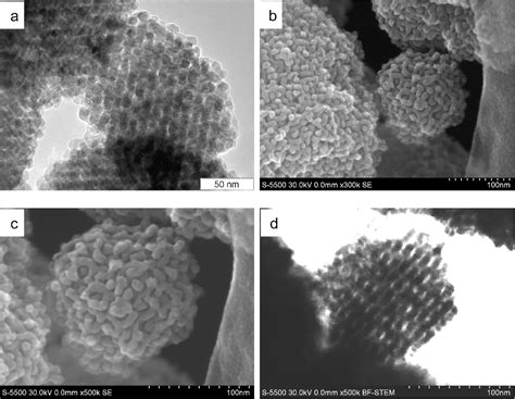 Figure 1 From Direct Imaging Of Surface Topology And Pore System Of