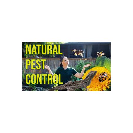 Natural Pest Control Methods