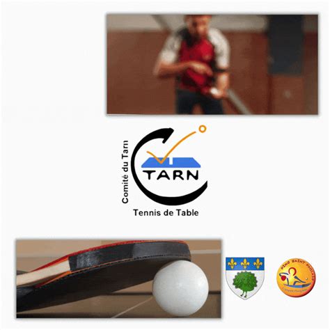 TOURNOI POUSSINS BENJAMINS Comité du Tarn de Tennis de Table