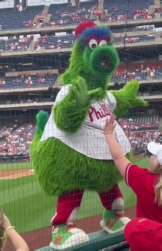 How To Make A Phillie Phanatic Costume? DIY