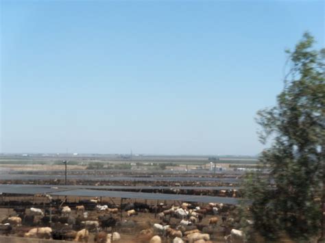 Harris Cattle Ranch In Coalinga California Ca Highway N Clotee