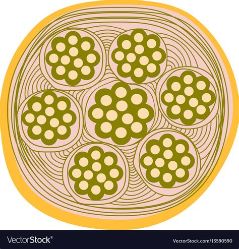 structure  tendon infographics  isolated vector image