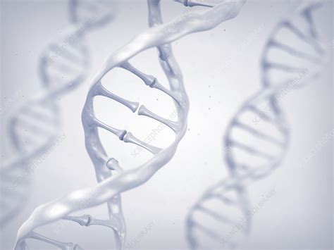 Dna Molecules Illustration Stock Image F025 2752 Science Photo