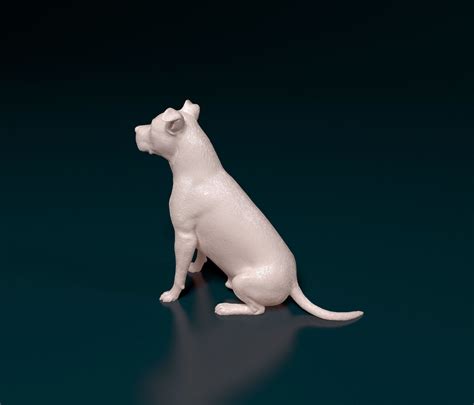 Staffordshire bull terrier 6 3D model 3D printable | CGTrader