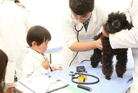 獣医師の仕事について知ろう！動物と触れ合おう！ 動物同伴okのイベント「2024動物感謝デー」を開催（オーヴォ） Yahooニュース