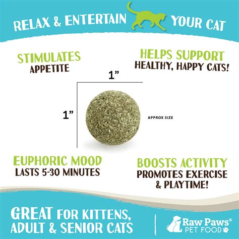 Raw Paws Natural Catnip Ball Toy 6 Ct Active Indoor Cats Kitten