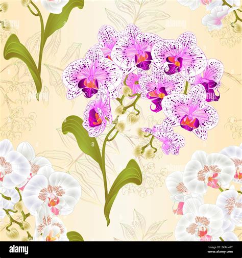 Seamless Texture Branches Orchid Phalaenopsis White And Purple White