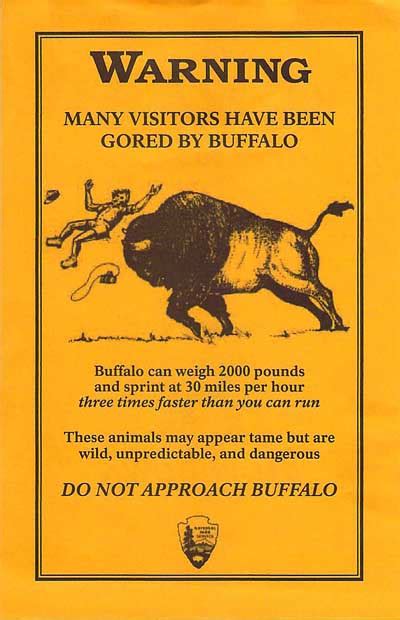 Buffalo Warning Flyer Us Route 89