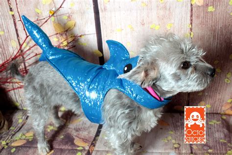 Dog shark halloween costume harness | Pet costumes, Shark halloween costume, Pet id tags