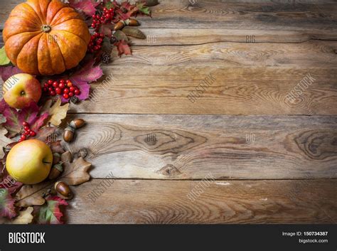 Thanksgiving Or Fall Greeting With Pumpkins And Fall Leaves On Blue