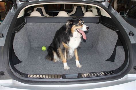 Tesla Model 3 Dog Accessories