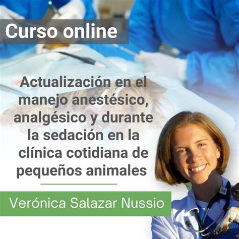 Manejo Anest Sico Analg Sico Y Sedaci N Curso Con Experto