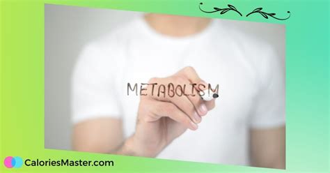 Slow Metabolism - Causes, Symptoms, and Treatment Options - Calories Master