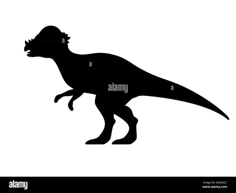 Pachycephalosaurus Skull Stock Vector Images Alamy