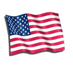 USA Flag Icon | Flags Iconpack | pan-Tera