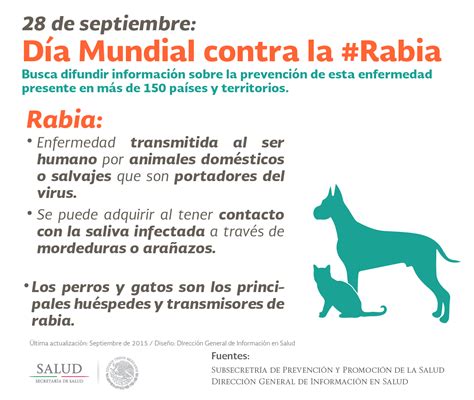 Infografía ¿qué Es La Rabia Secretaría De Salud Gobierno Gobmx