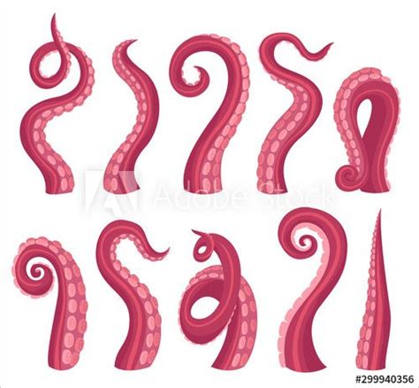 How To Draw Octopus Tentacles Accessoriesetp