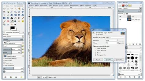 Las Mejores Alternativas Gratuitas A Photoshop 2018 Zona3Cero