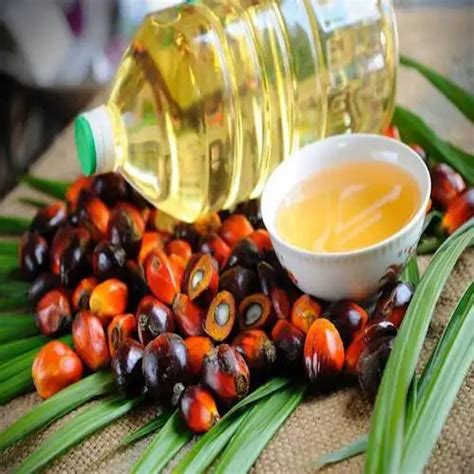 Palm Oil Red Palm Oil Refined Palm Oil Cpopalm Olein Oil Cp8rbd