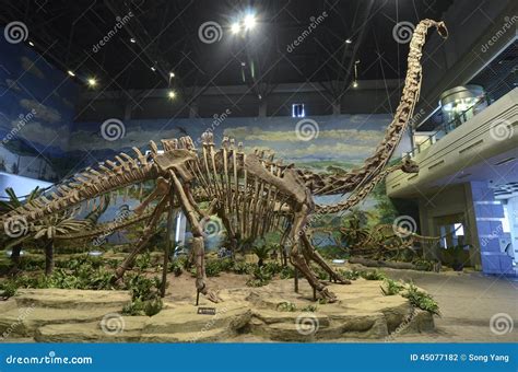 Dinosaur Fossil Editorial Photography - Image: 45077182