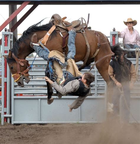 Buckin Bronc Bronc Riding Cowboy Horse Rodeo Cowboys