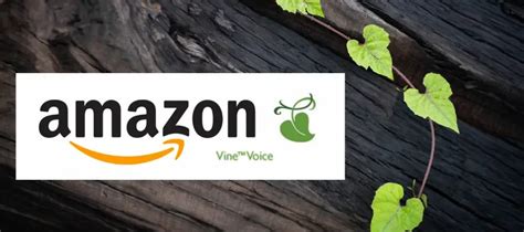 Maximizing Sales with the Amazon Vine Program | AmzMonitor