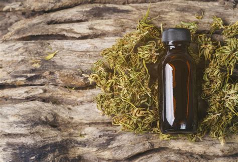 quick guide  thc laws   countries analog medium