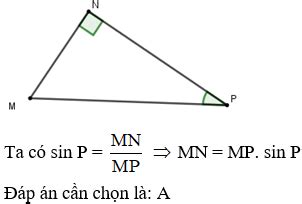 C U H I Tr C Nghi M Thu C M T S H Th C V C Nh V G C Trong Tam