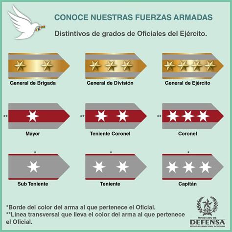 ¿cómo Reconocer Los Grados De Los Militares Defensa Te Los Detalla