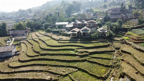 Von Hanoi Sapa Tage N Chte Mit Trekking Dorf Getyourguide