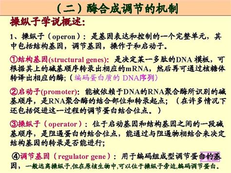 Structure of a typical operon The enzymes that