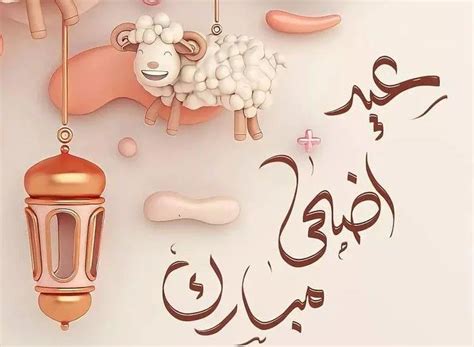 موعد أول أيام العيد الأضحي المبارك فلكيًا الخبر لايف